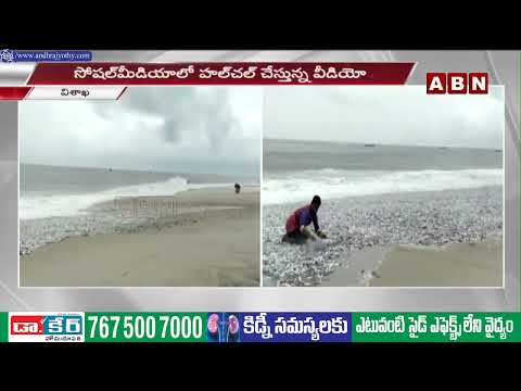 విశాఖ తీరానికి భారీగా కొట్టుకొచ్చిన చేపలు || Fishes in Visakhapatnam || Vizag Beach || ABN Telugu - ABNTELUGUTV