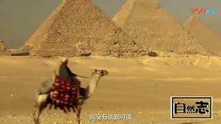 《自然志-未解之谜》古埃及金字塔的法老诅咒及勇闯者必死之谜