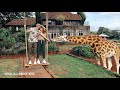 Introducing the Giraffe Manor Swing