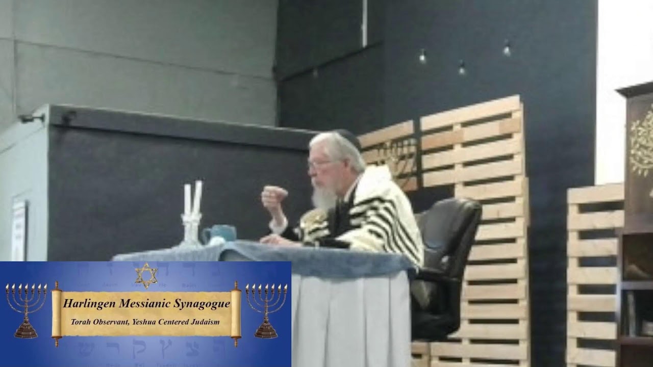 Shabbat Teaching 2/28/26: Gevurah; Trimming Our Trees