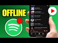 How To Play Music Offline In Spotify iPhone (Step By Step) Mp3 Song