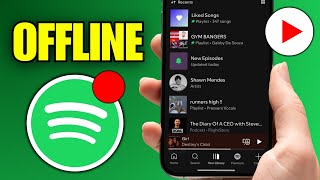How To Play Music Offline In Spotify iPhone (Step By Step)