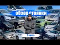 ЦЕНЫ НА МИНИВЭНЫ ИЗ ЯПОНИИ  🇯🇵  Honda Freed и Stepwgn, Toyota Voxy и Alphard