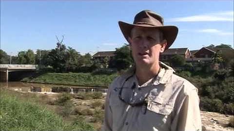 SASS5 Series - What is SASS5