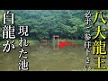 ※あなたも龍神の姿が見える？！目撃情報が相次ぐ龍神池 参拝【奈良県桜井市茅原 八大竜王弁財天大神】