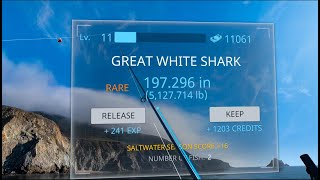 🦈 Shark Hunters Unite! 🎮