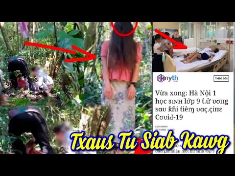 Video: Vim Li Cas Cov Huab Cua Vane Tau Siv Tau Dai Kom Zoo Nkauj Nrog Paj Npleg Ntawm Tus Lau Qaib