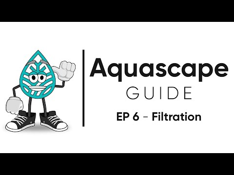 Aquascape Guide - Filtration explained and how to set up a canister filter / EP 6 - Filtration
