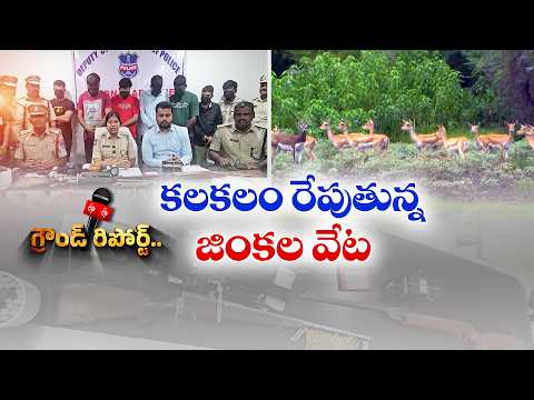 మక్తల్‌లో జింకల వేట కలకలం.. హైదరాబాద్ రెస్టారెంట్లకు తరలింపు || ETV Ground Report