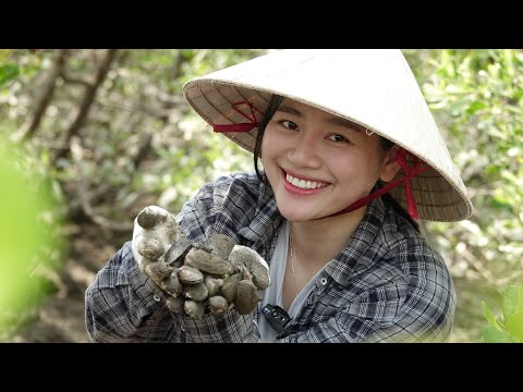 Video Hái bần ổi, đào Chem chép, bắt Ốc len xào dừa| ÁNH KUA - youtube