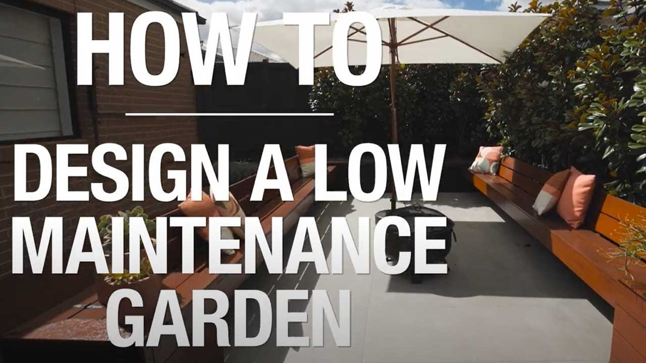 How to Design a LowMaintenance Garden Bunnings Warehouse YouTube
