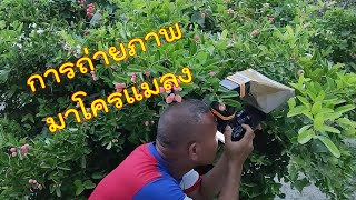 [ตากล้องส่องไทย] ตอน: การถ่ายภาพมาโครแมลง