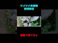 ジメジメ系植物のケース栽培?風がなくても育つのか? #園芸 #観葉植物 #plants