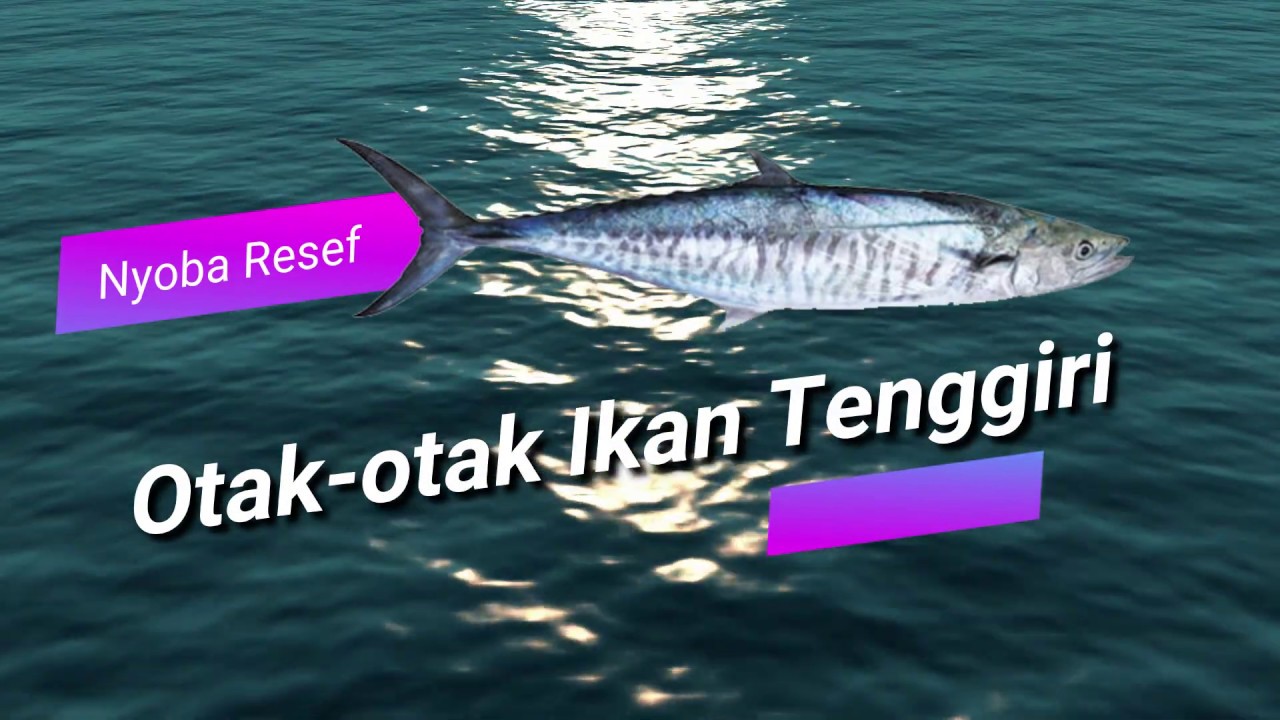 Otak otak ikan  tenggiri YouTube