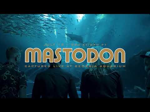 Mastodon live performance experience at georgia aquarium