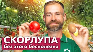 ДВОЙНАЯ ПОЛЬЗА ОТ ЯИЧНОЙ СКОРЛУПЫ В ОГОРОДЕ! Просто делаю так перед использованием