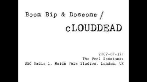 Boom Bip & Doseone / cLOUDDEAD - 19 Audience