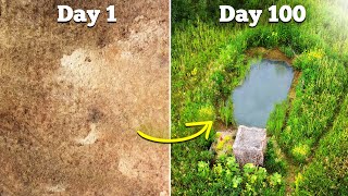 I Built a Wildlife Pond - here's what happened