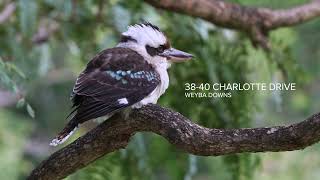 38-40 Charlotte Dr, Weyba Downs - Damien Steele Real Estate