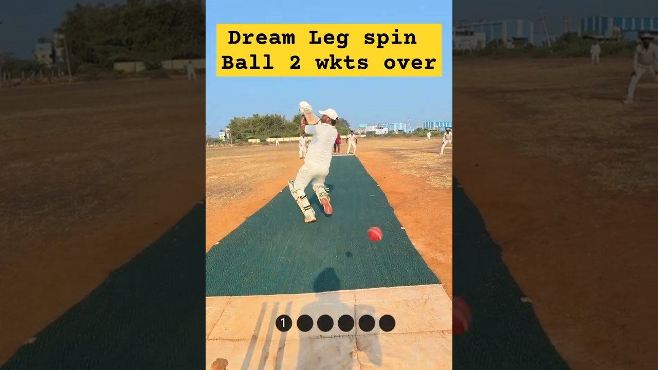 Dream Leg Spin Deliveries | 2 Wickets Over 