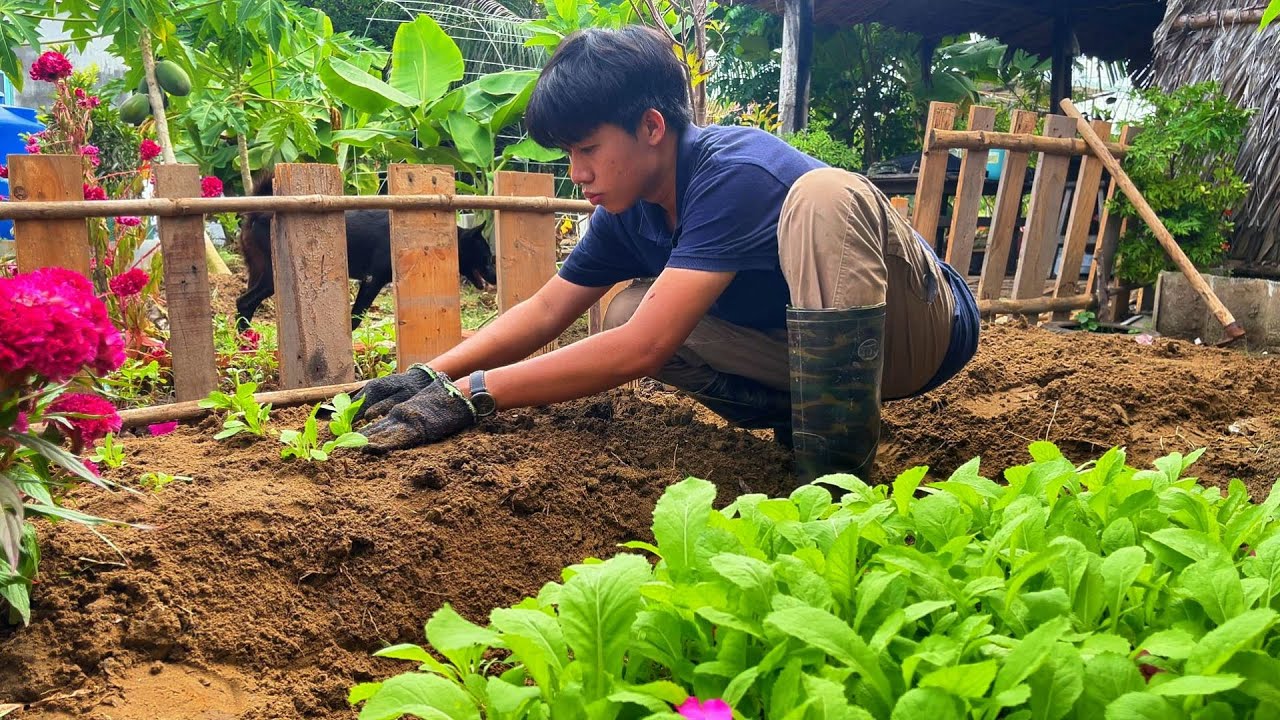 Build a simple life, growing vegetables and raising fish. | Life in the ...