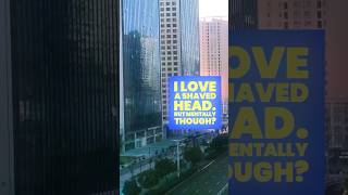 Haircut Dogwhistles - Caitlin Erin Oneill