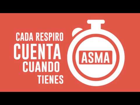 Vídeo: El Vostre Gos Té Asma?