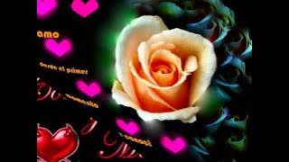 Conjunto Primavera - No Como Amigo........by Checoman