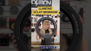 Llantas Eclat Morrow  #bmx #bmxshop #eclatbmx #bmxgirl #bmxstreet #bmxplus #bmxlatinoamerica
