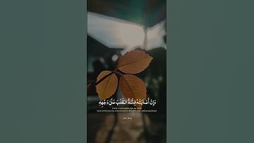 ماهر المعيقلي - سورة الحج آية 11❤️