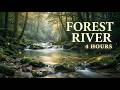 4 Hours Relaxing Forest River Sounds 🌿 Deep Sleep Nature Ambience (No Music)