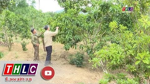 An Trà duy trì tiêu chí thôn nông thôn mới kiểu mẫu | THLC