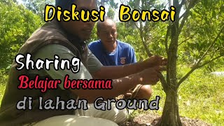 Diskusi bonsai di lahan ground bapak mulyadi Gerung Lombok Barat@