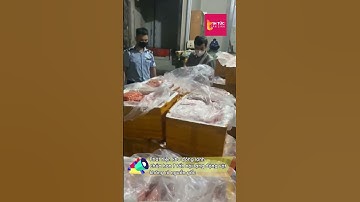 Phát hiện kho đông lạnh chứa hơn 7 tấn nội tạng động vật không rõ nguồn gốc| Dân Sinh| #shorts