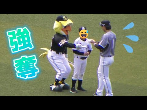 2023/4/22 ハリーホーク、マリーンズファンの子供達にちょっかいを出す