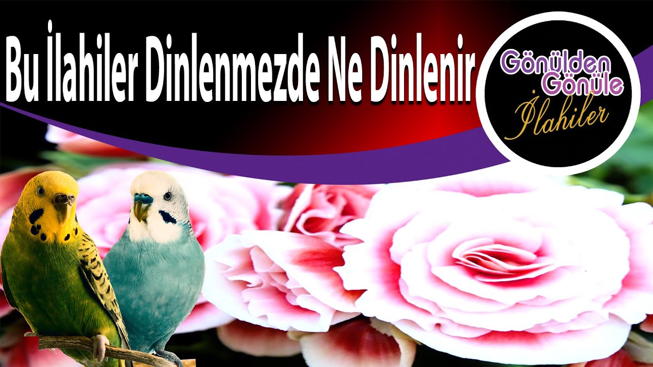 Bu İlahiler Dinlenmezde Ne Dinlenir | Ramazan Ayına Özel
