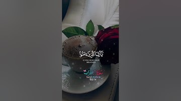 تلاوة تخشع لها القلوب #المصحف #اكسبلور #لايك #القرآن_الكريم #راحة_نفسية #الرحمن #حالات_واتس#quran