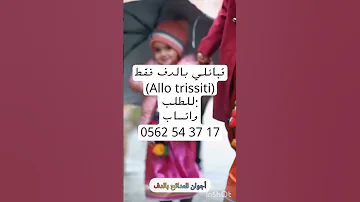 قبائلي بالدف فقط الو تريسيتي بدون موسيقى اغاني اعراس جزائرية بدون موسيقى ديجي بالدف فقط Douf بالدف 