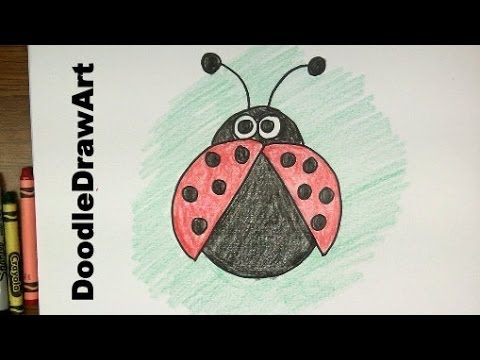 how to draw seven star ladybug step by step  how to draw  findpeacom