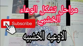 الدعامة النسيجية لنقل النسغ الخام. بنينة الاوعية الخشبية. مراحل تشكل الوعاء الخشبي