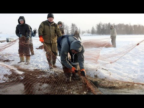 Видео: #23 Необычные случаи на рыбалке!