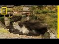 Spectacular Time Lapse Dam "Removal" Video | National Geographic
