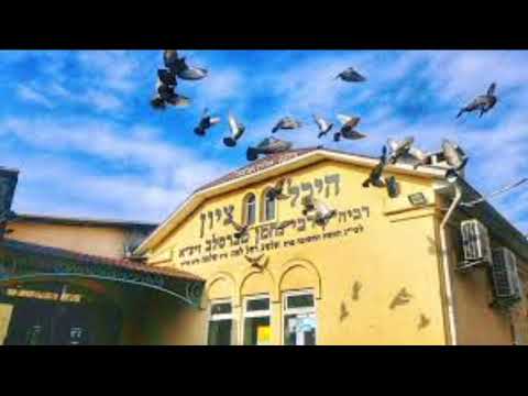 הרב אליהו גודלבסקי | בין אדם לחברו ואיך הקבה בתמונה - קצר