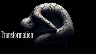 Mud Fossils -Instant Petrification and Dimensional shifts of size and shape