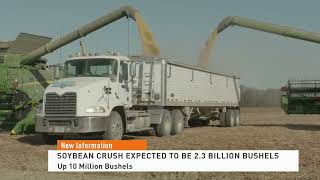 Soybean Crush Expected To Be 2.3 Billion Bushels