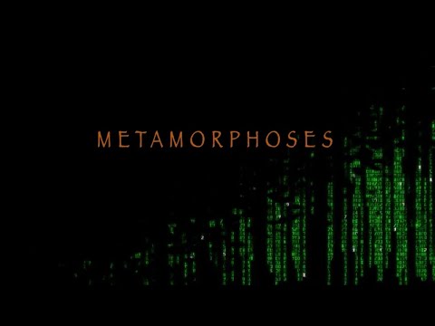 METAMORPHOSES: Chaos