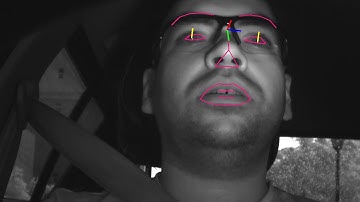 EdgeTensor - Driver Monitoring System