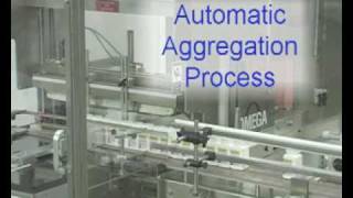 Serialization Process for the Pharmaceutical Packaging Line