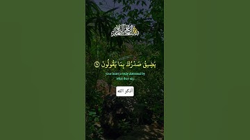 ما تيسر من سورة الحجر بصوت القارئ اسلام صبحي #لا_اله_الا_الله #allah #اكسبلور #القرآن_الكريم