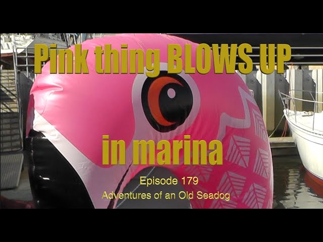 Pink thing BLOWS UP in marina